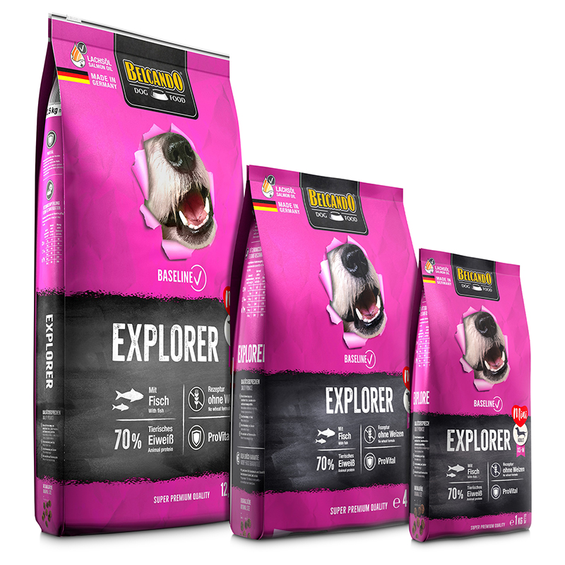 Belcando Baseline Explorer – Bild 2